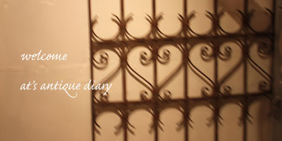 2012.12.22antiquediary.jpg