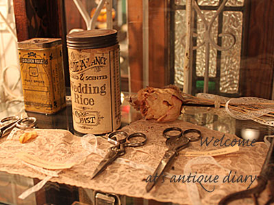 2012.2.11antiquediary.jpg